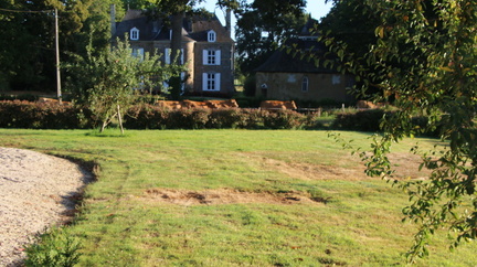 IMG 0134