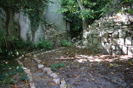 IMG 0156