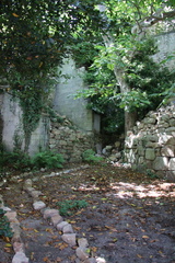 IMG 0157