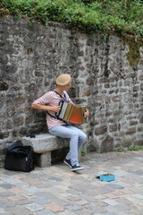 IMG 0181