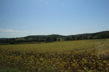 IMG 0304