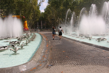 IMG 0320