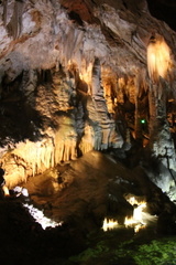 IMG 0514