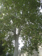 IMG 3983