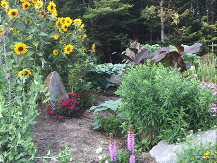 jardin-bungalow-sureleve-st-luc-de-bellechasse-1600-12973483
