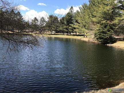 vue-sur-le-lac-bungalow-sureleve-st-luc-de-bellechasse-1600-13067661